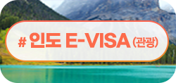 인도 E-VISA